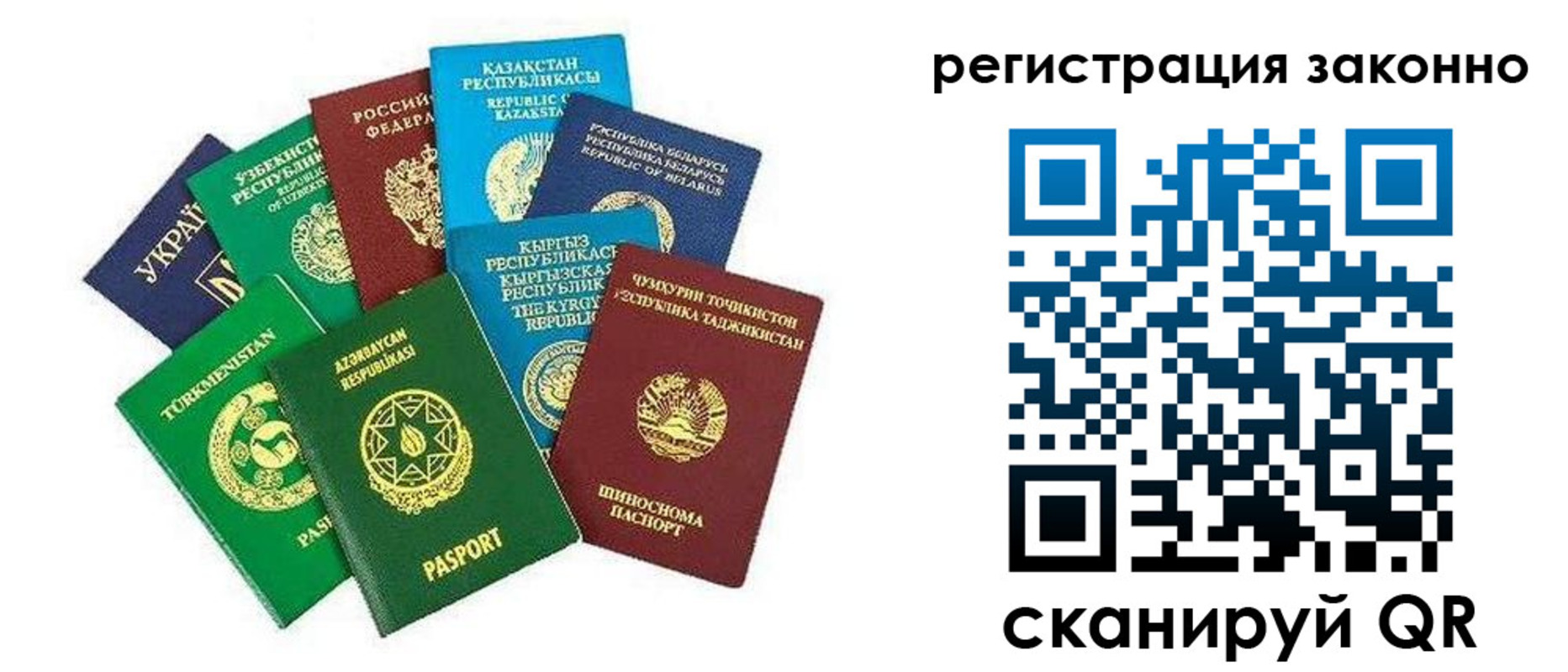 прописка 2025 в Курчалом